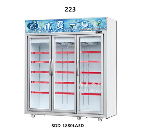 223立式冷冻展示柜
