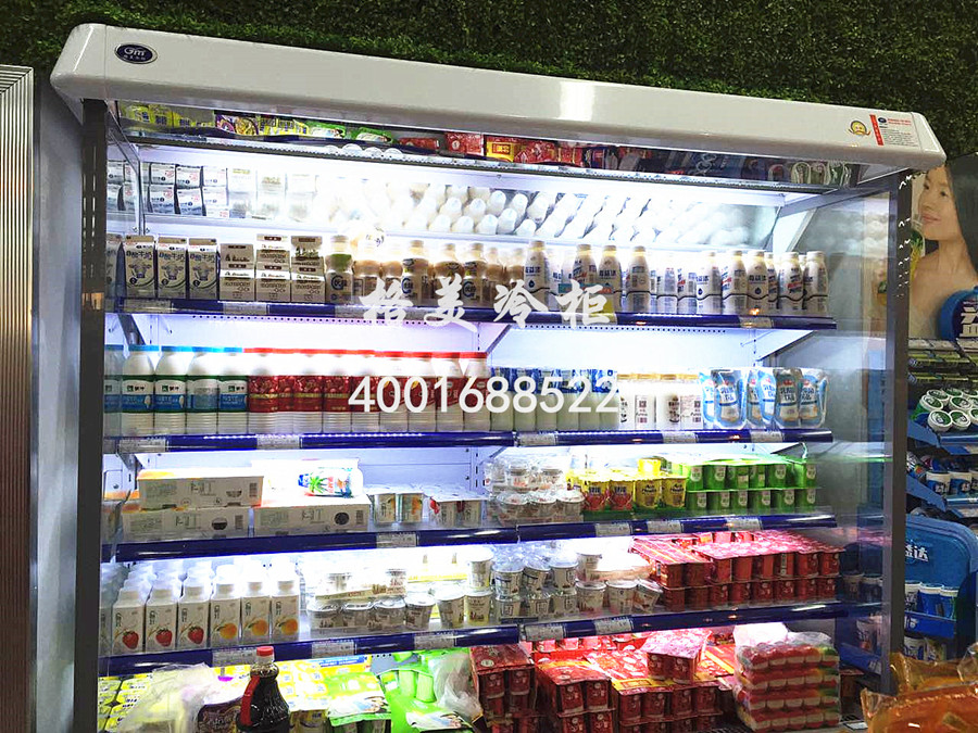 【格美冷柜】冰柜价格-选购冰柜的误区